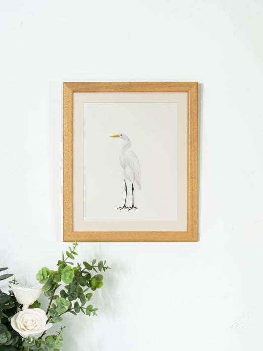 Learn How to Sketch Birds: Art Practice Tips & Techniques