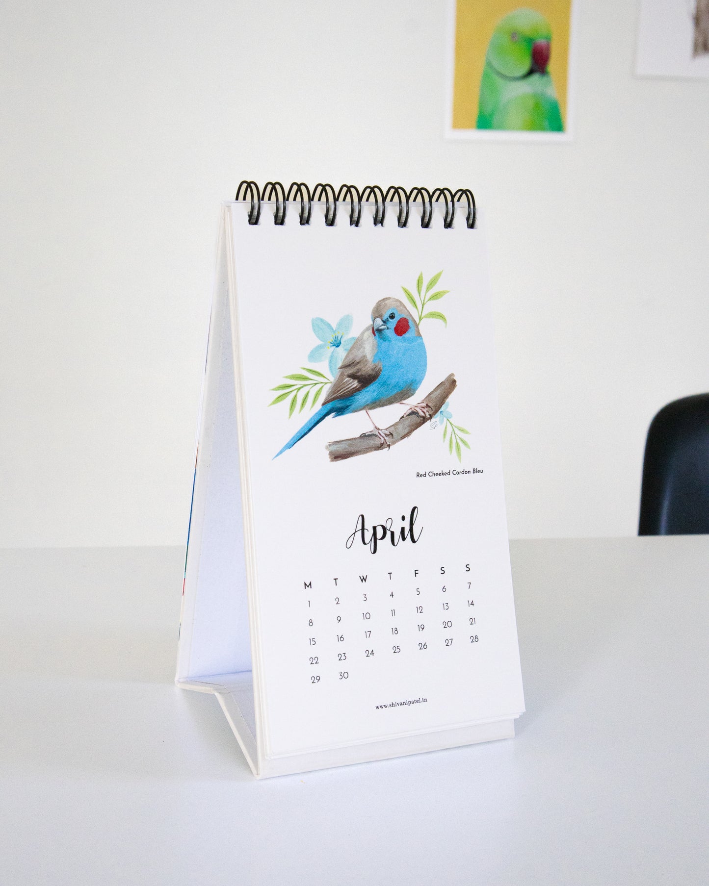 2024 Desk Calendar - The World of Birds