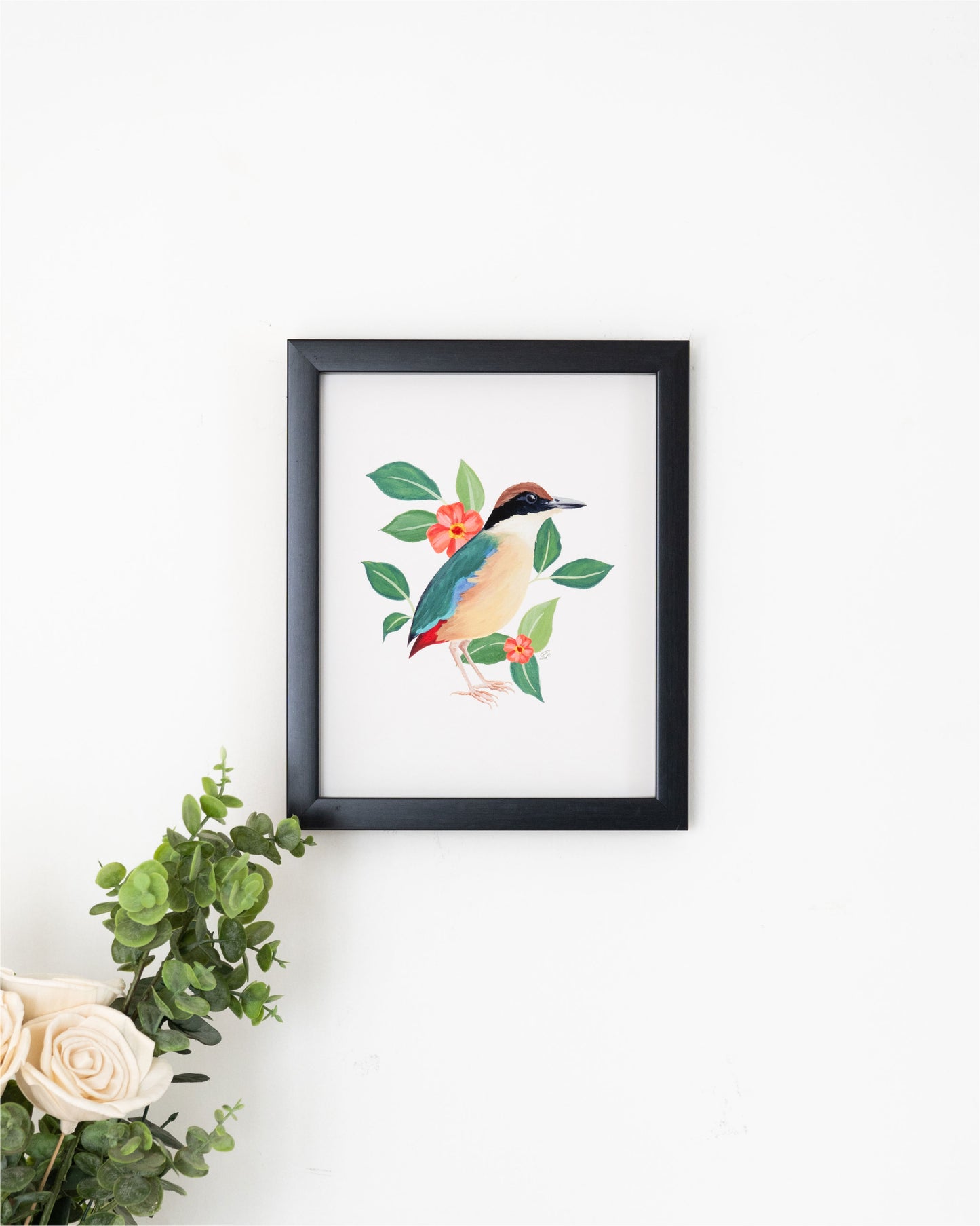 Mangrove Pitta : Archival Print