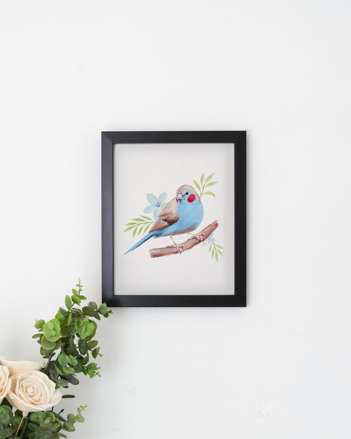 Red Cheeked Cordon Bleu : Archival Print