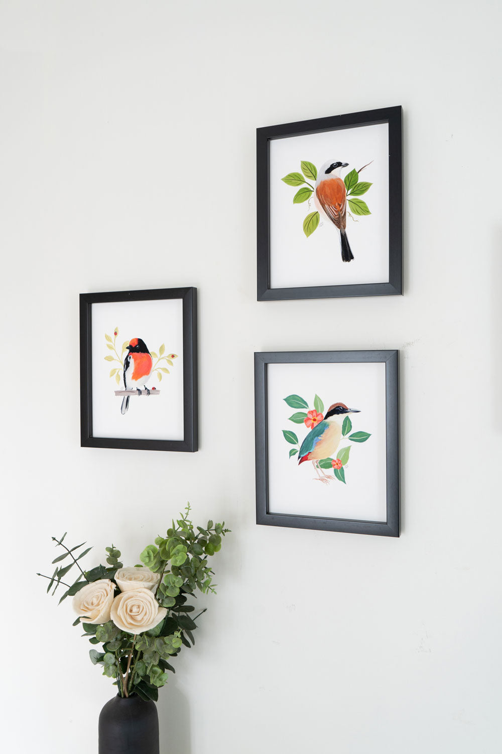 Mangrove Pitta : Archival Print