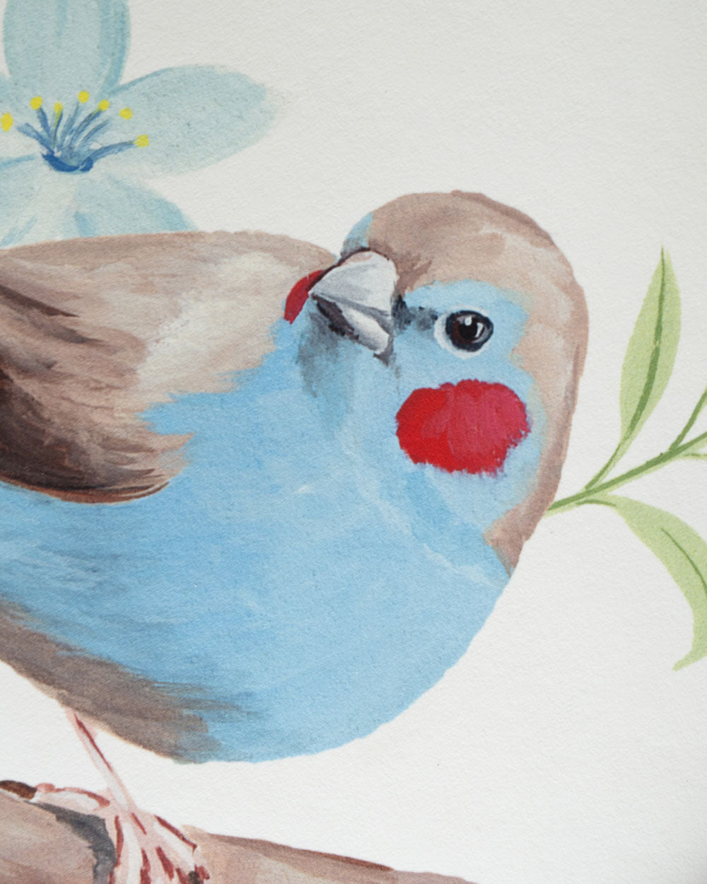 Red Cheeked Cordon Bleu : Archival Print