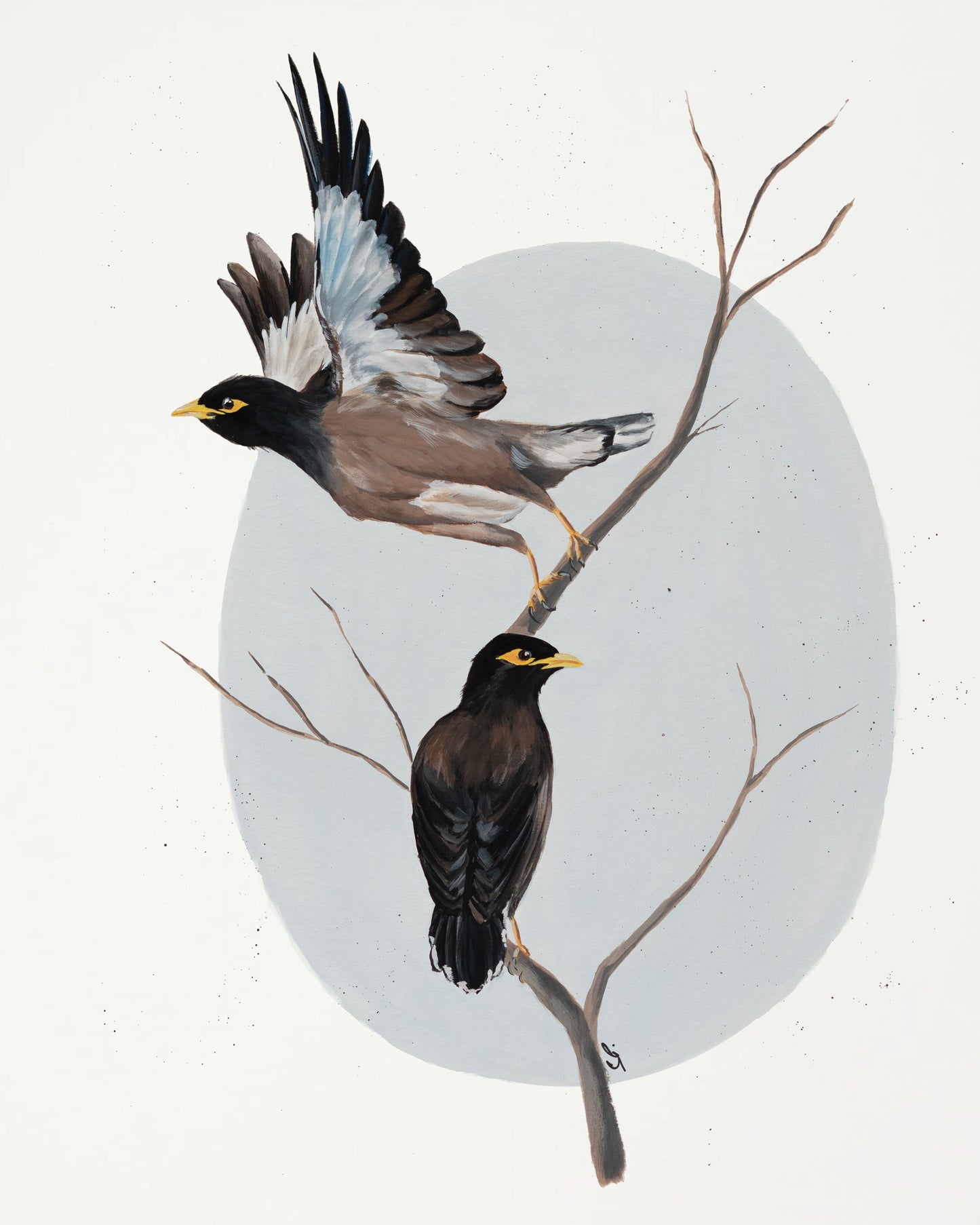 Under My Wing : Archival Print