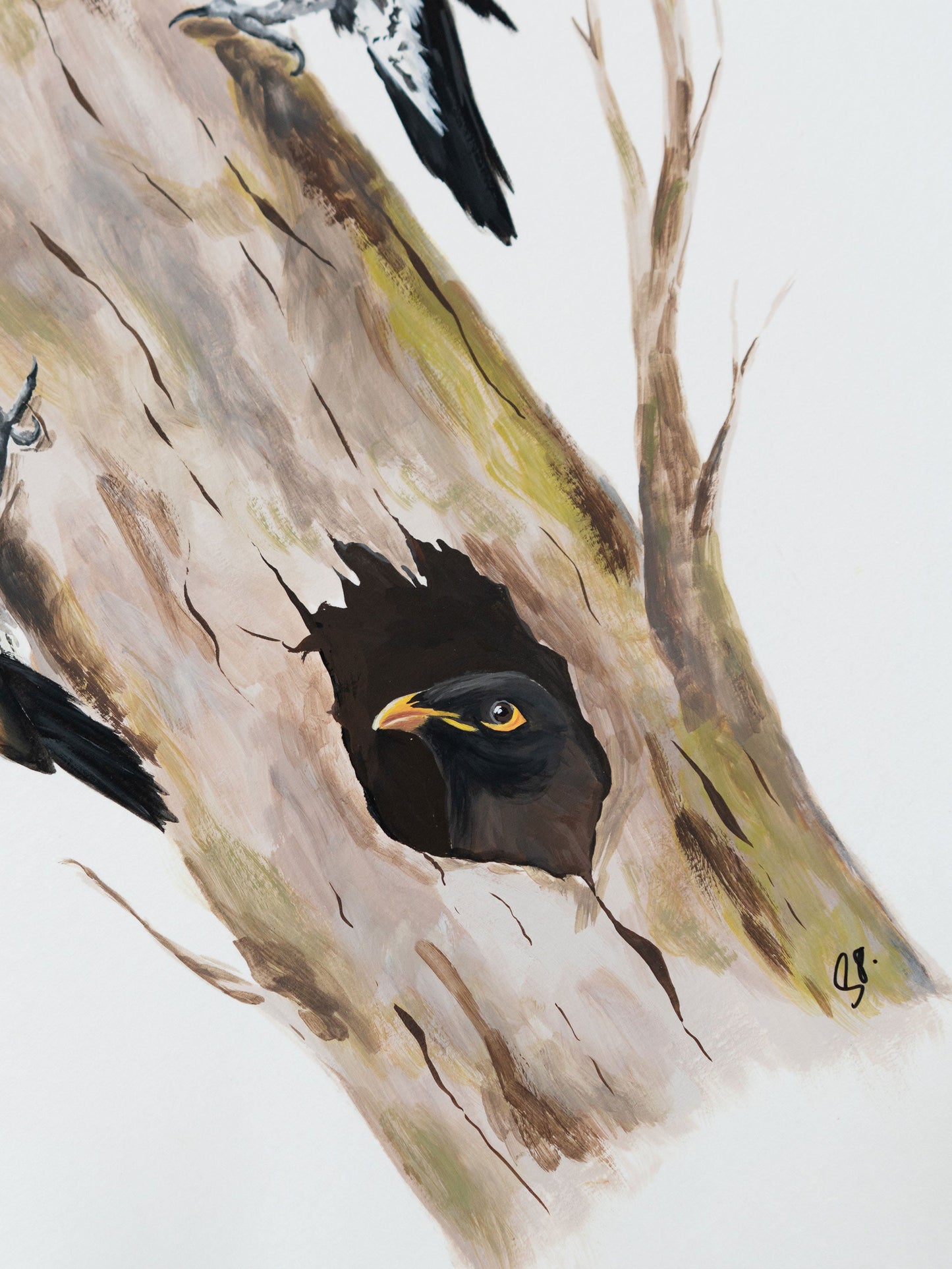 Knock, Knock : Archival Print