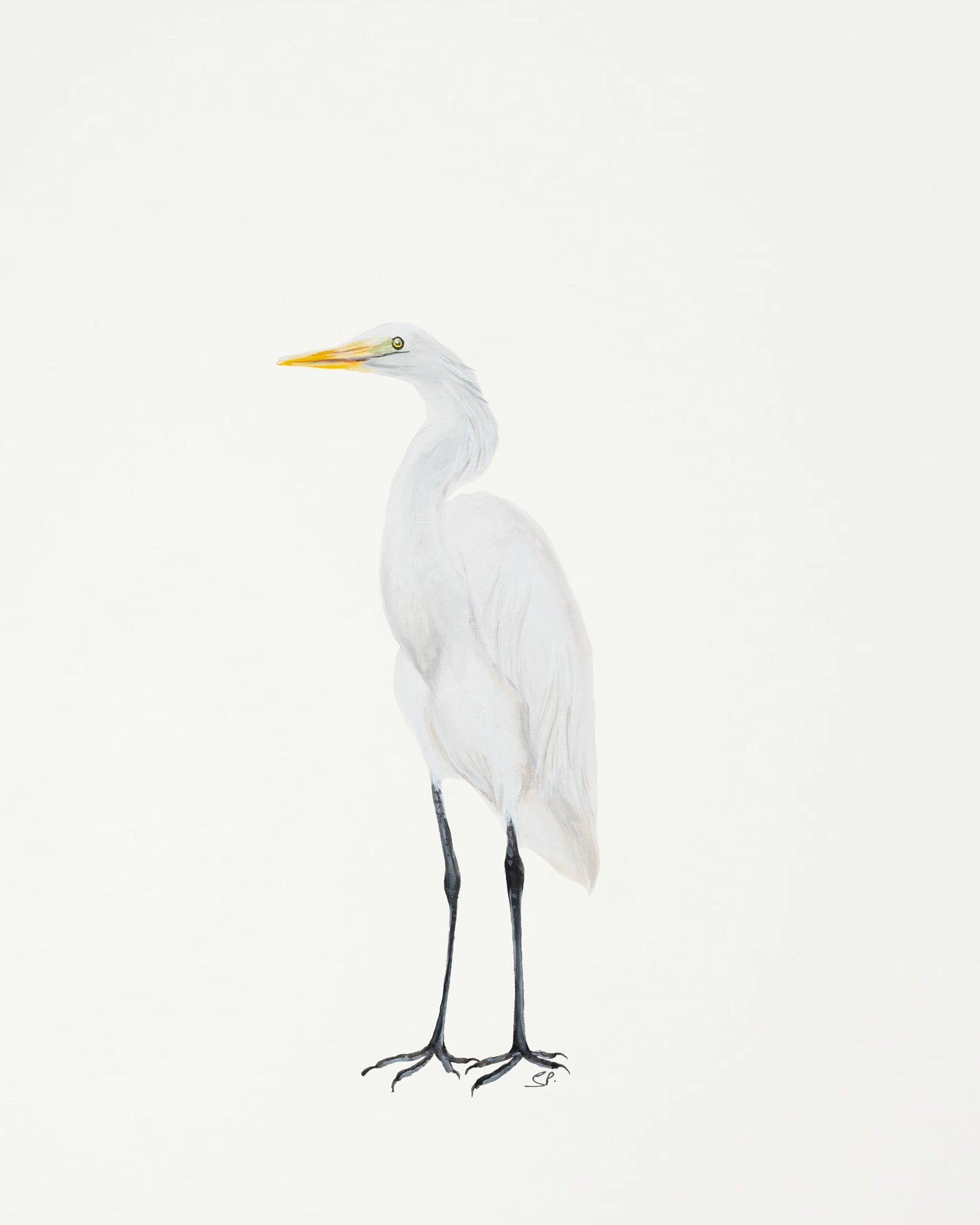Great Egret : Original Gouache Painting