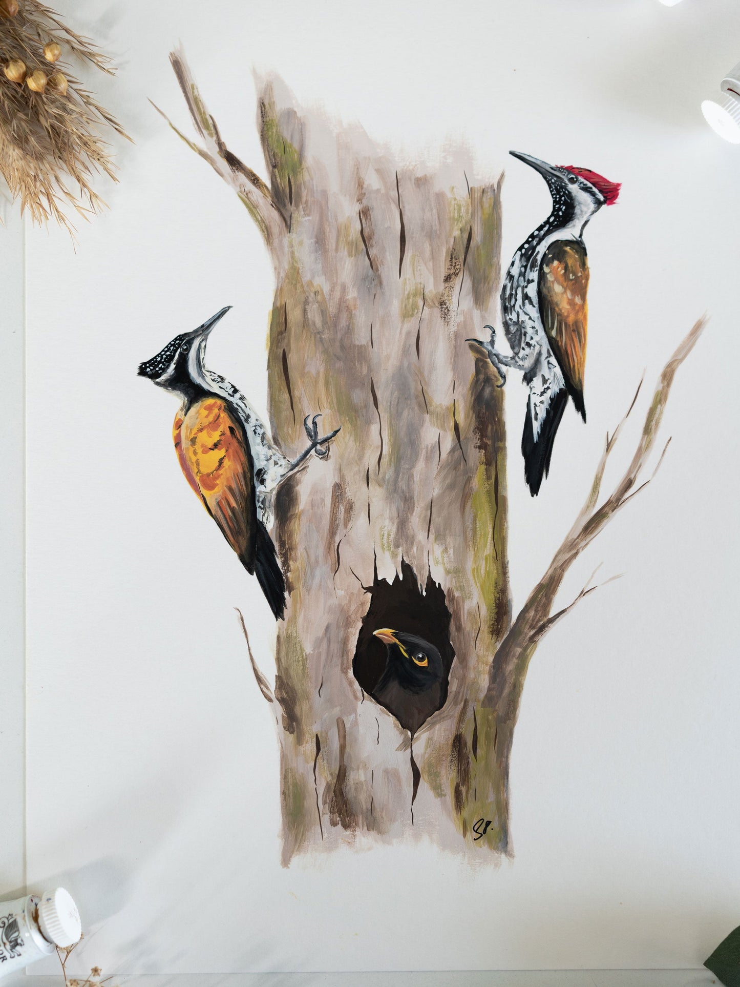 Knock, Knock : Archival Print