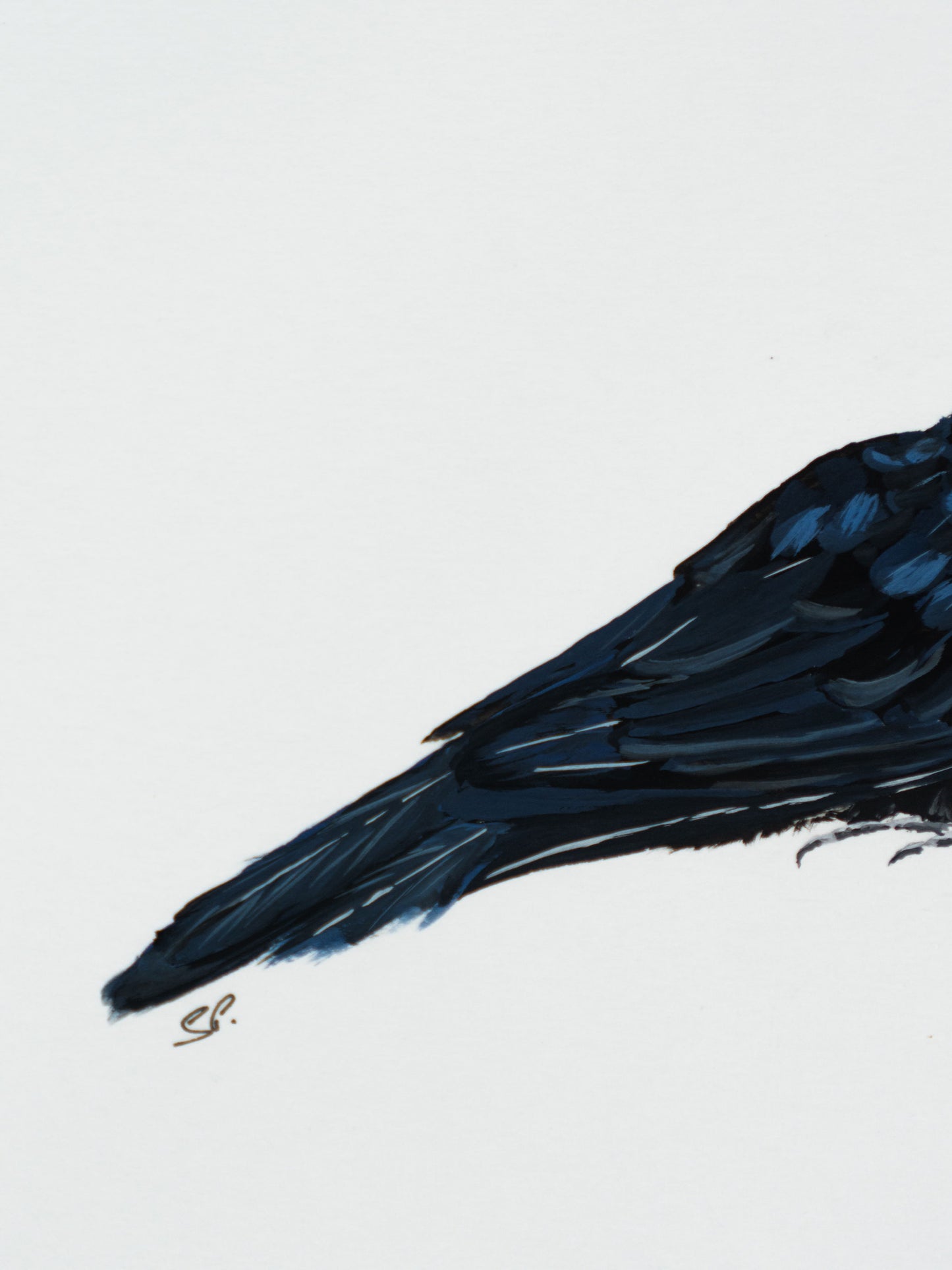 Asian Koel : Original Gouache Painting