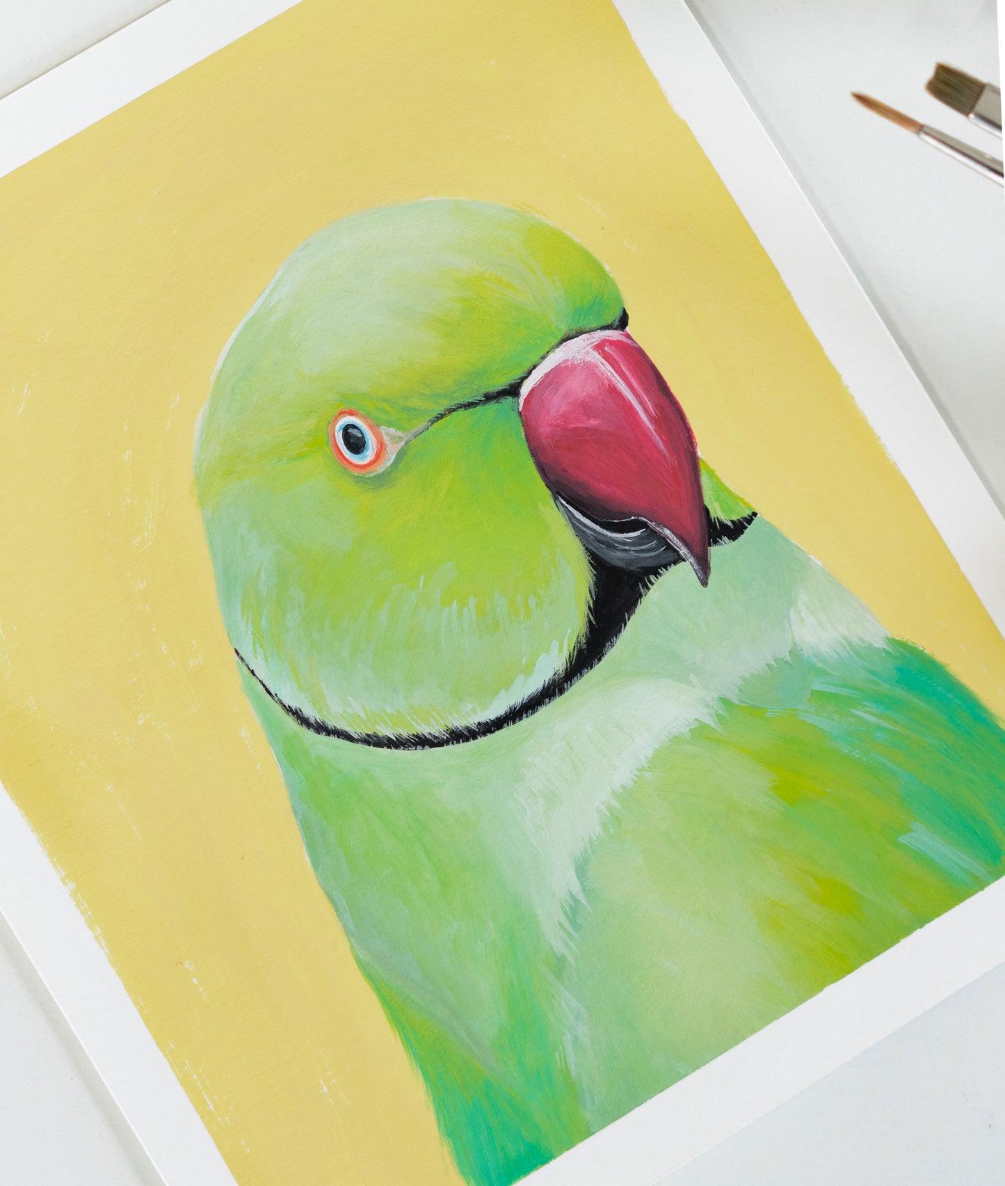 Passport Pic of a Parakeet : Original Gouache Painting