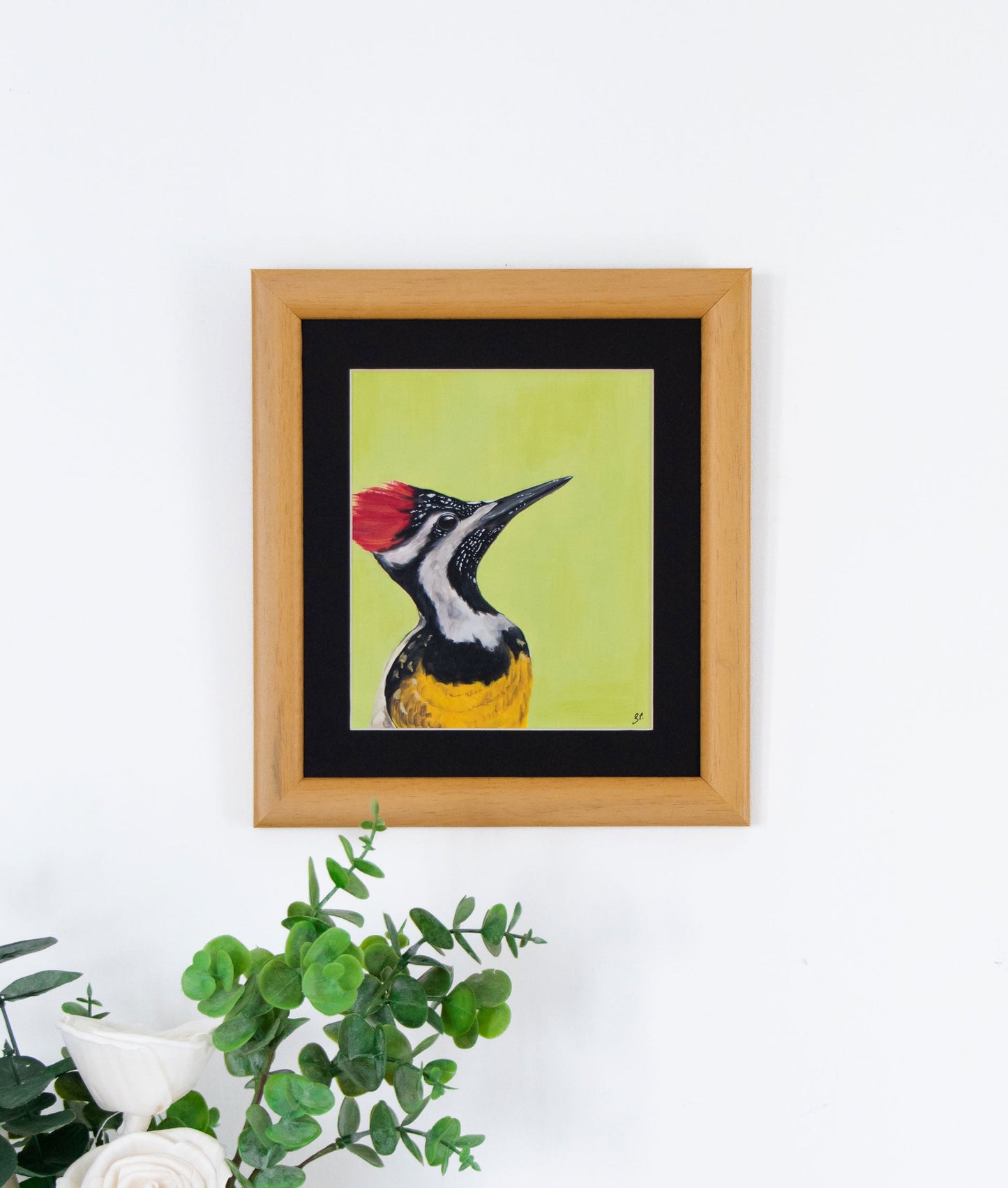 Passport Pic of a Woodpecker : Archival Print