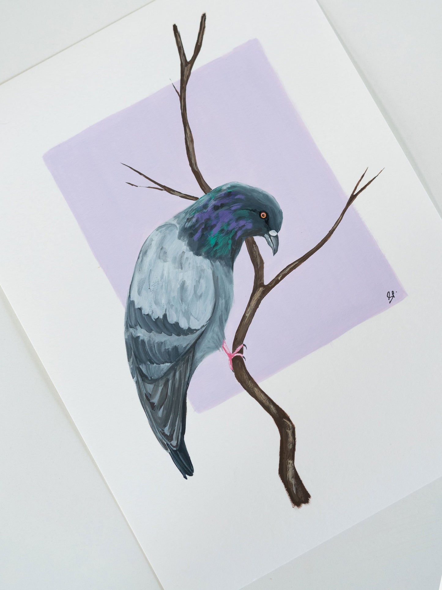 Su Casa Es Mi Casa : Archival Print