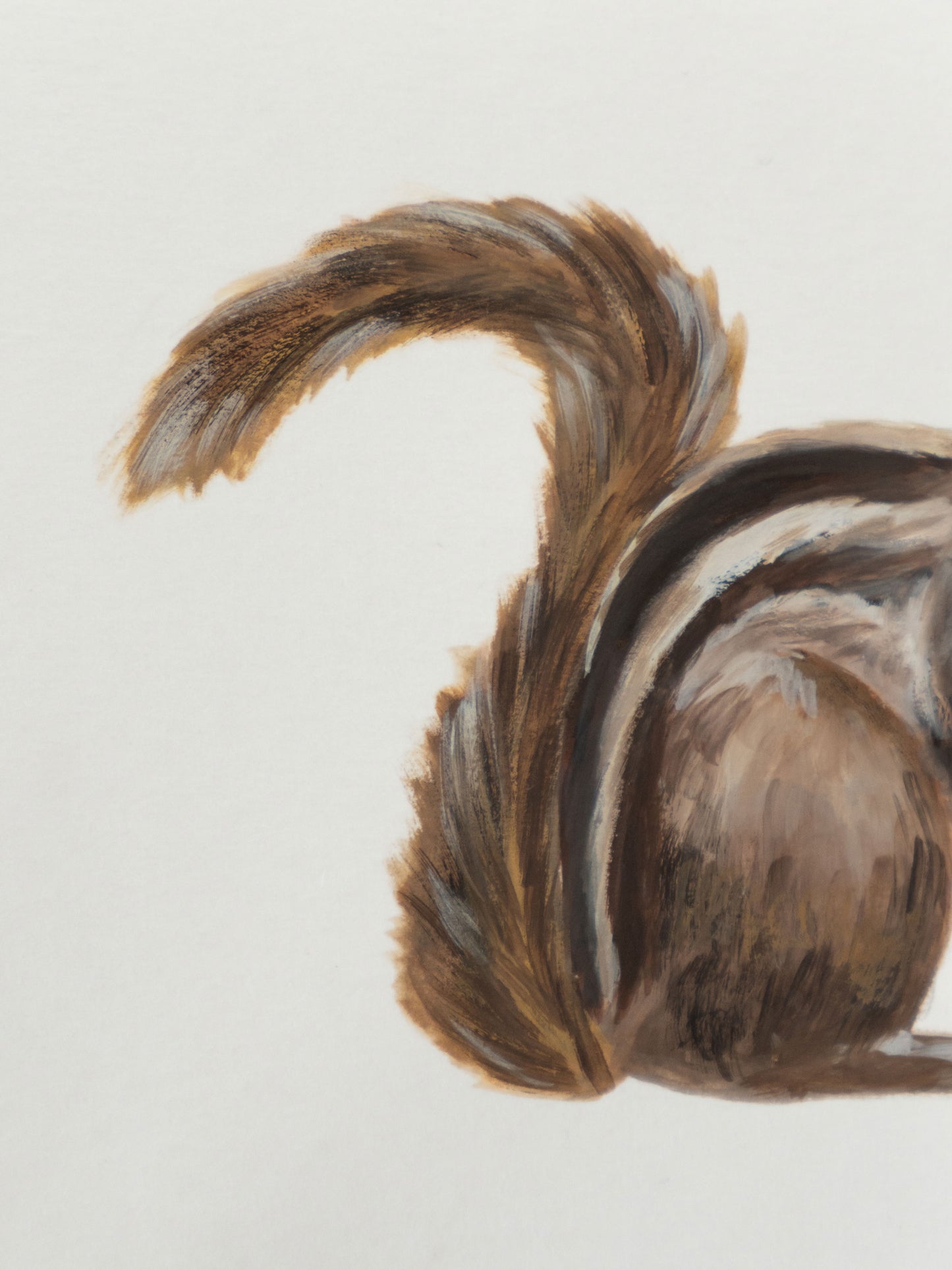 Indian Palm Squirrel : Original Gouache Painting