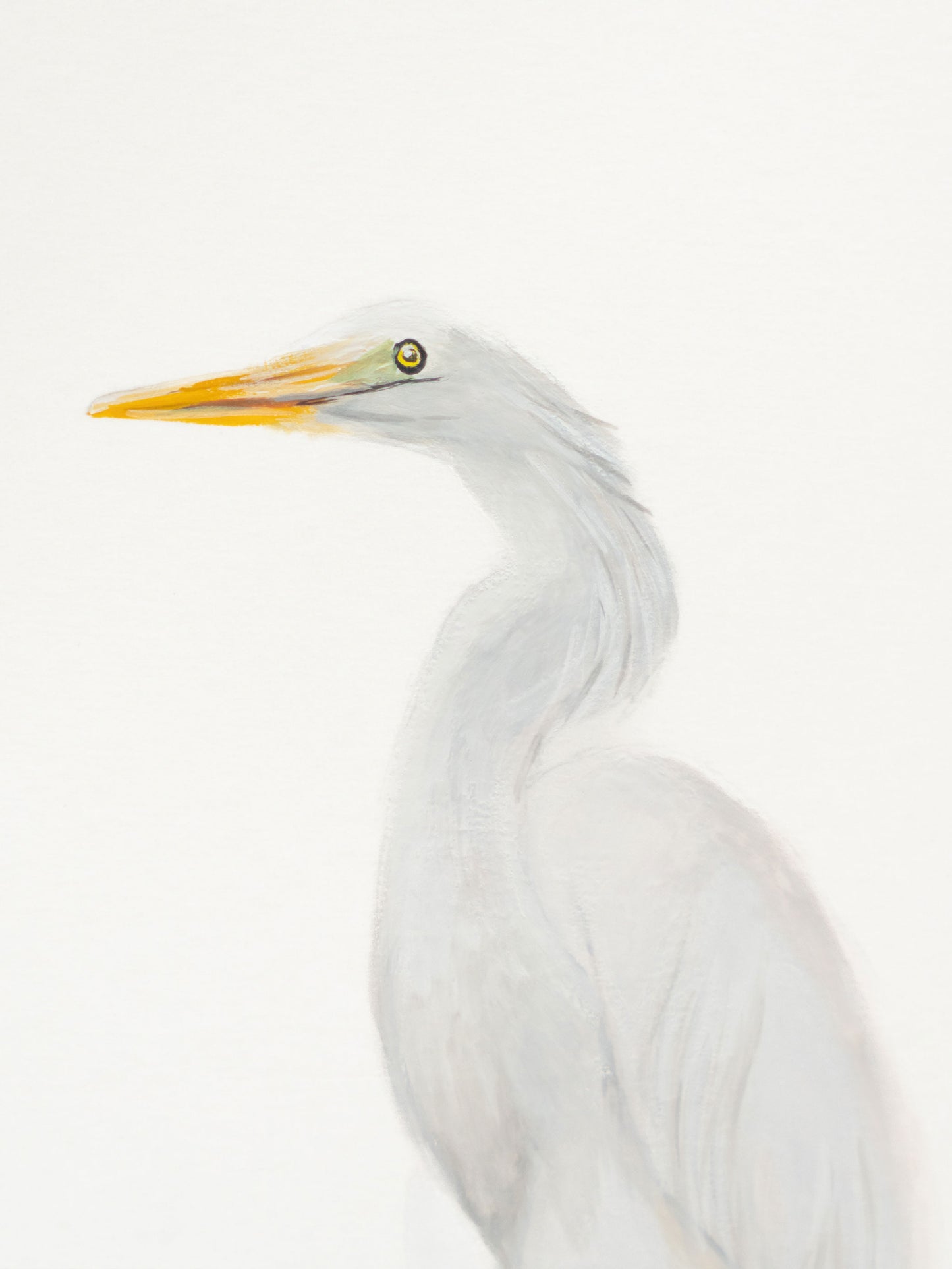Great Egret : Original Gouache Painting
