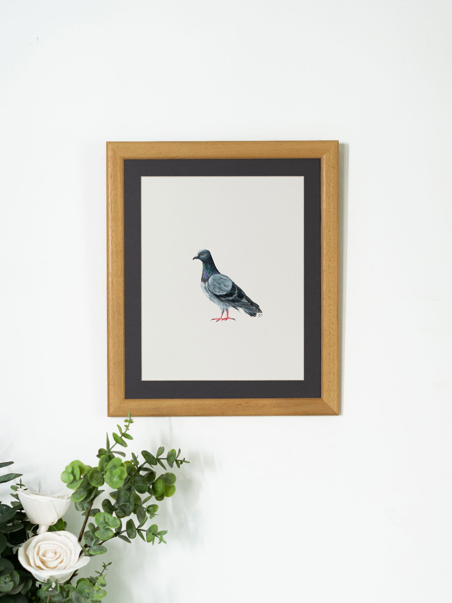 Rock Pigeon : Original Gouache Painting