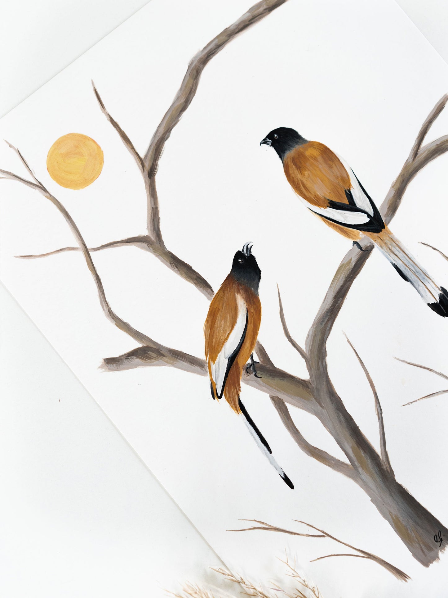 A Little Birdie Told Me : Archival Print