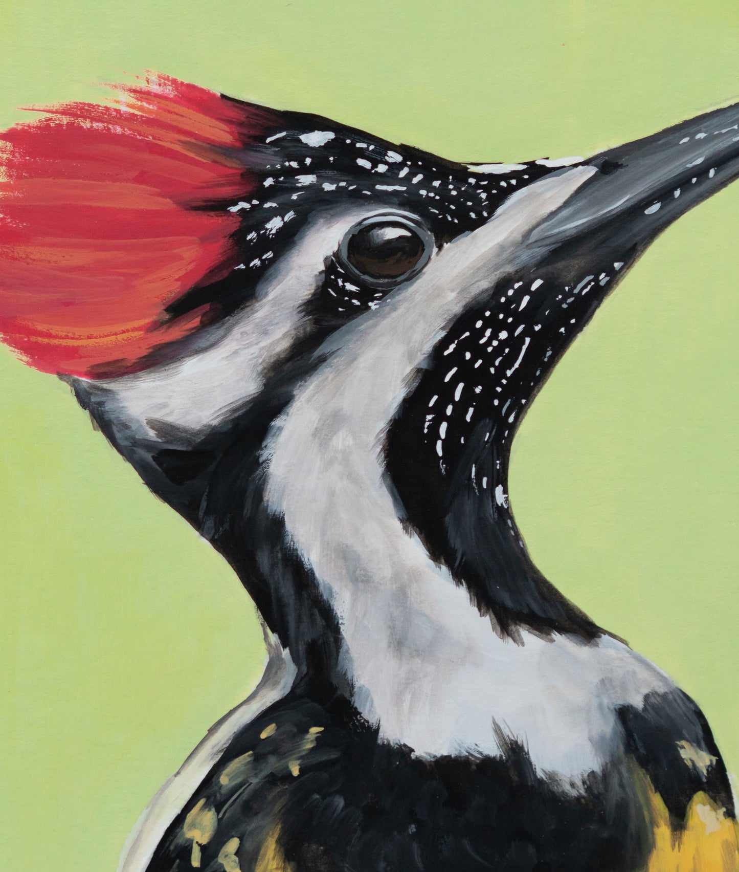 Passport Pic of a Woodpecker : Original Gouache Painting