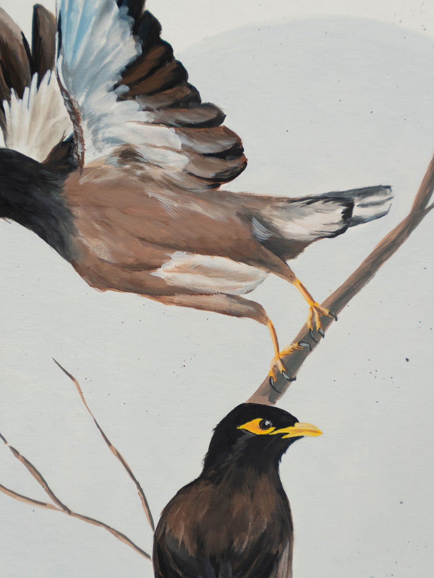 Under My Wing : Archival Print
