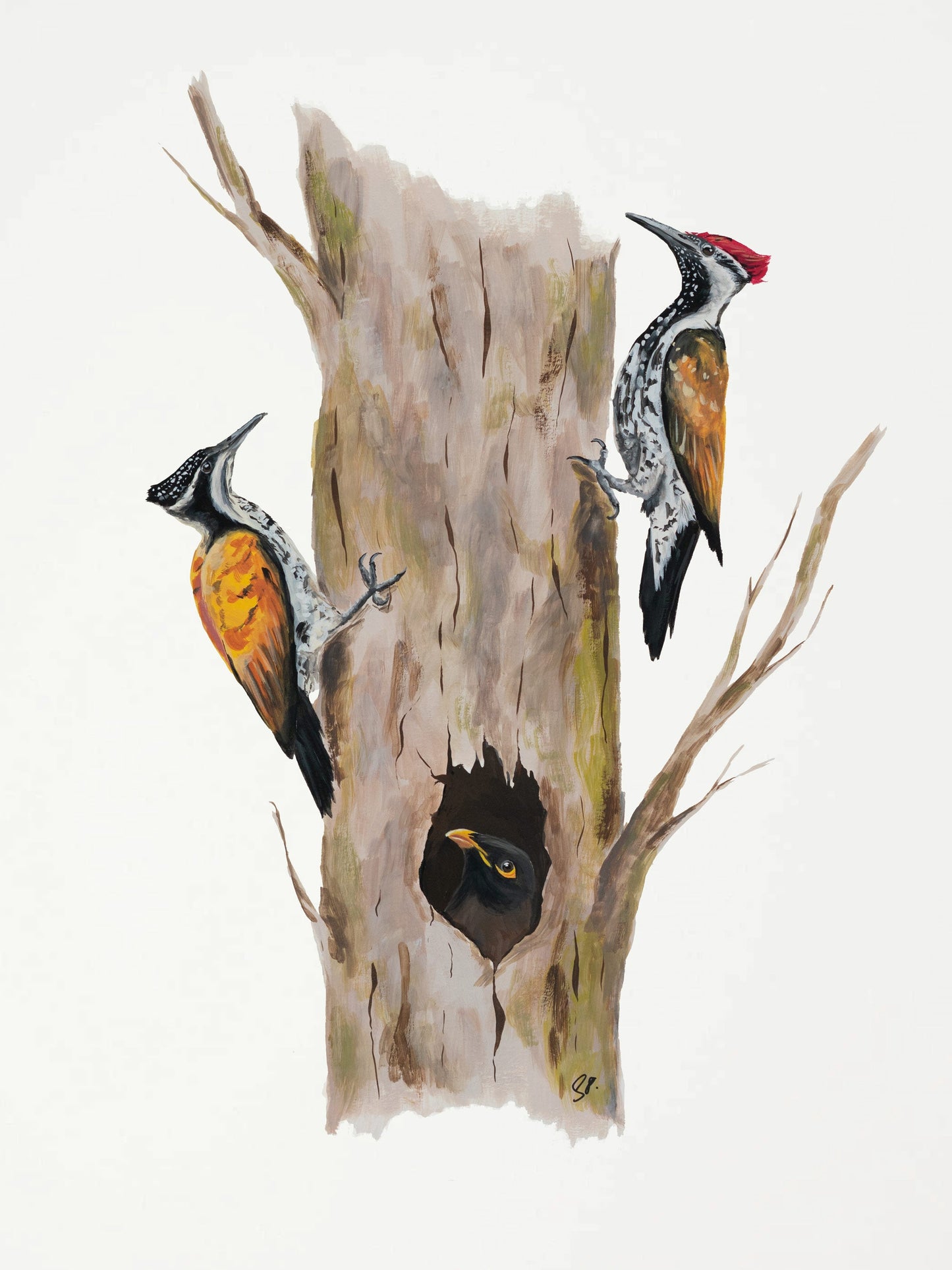 Knock, Knock : Archival Print