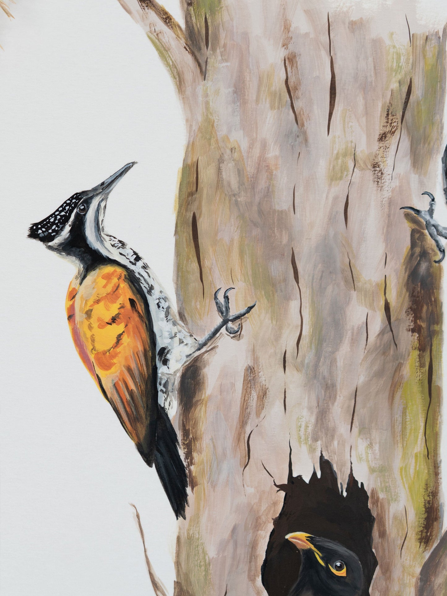 Knock, Knock : Archival Print