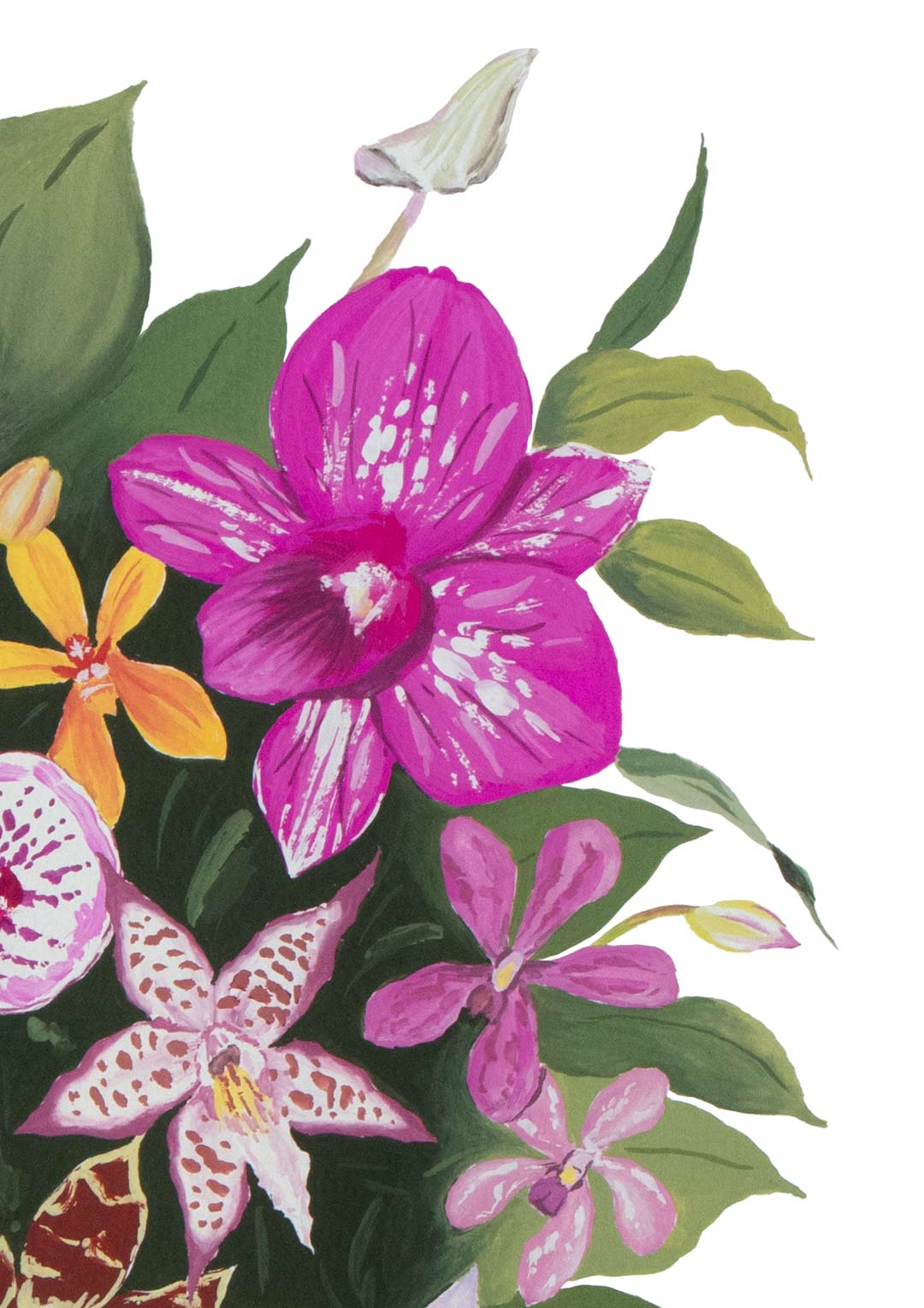 The Orchid Garden - Archival Print