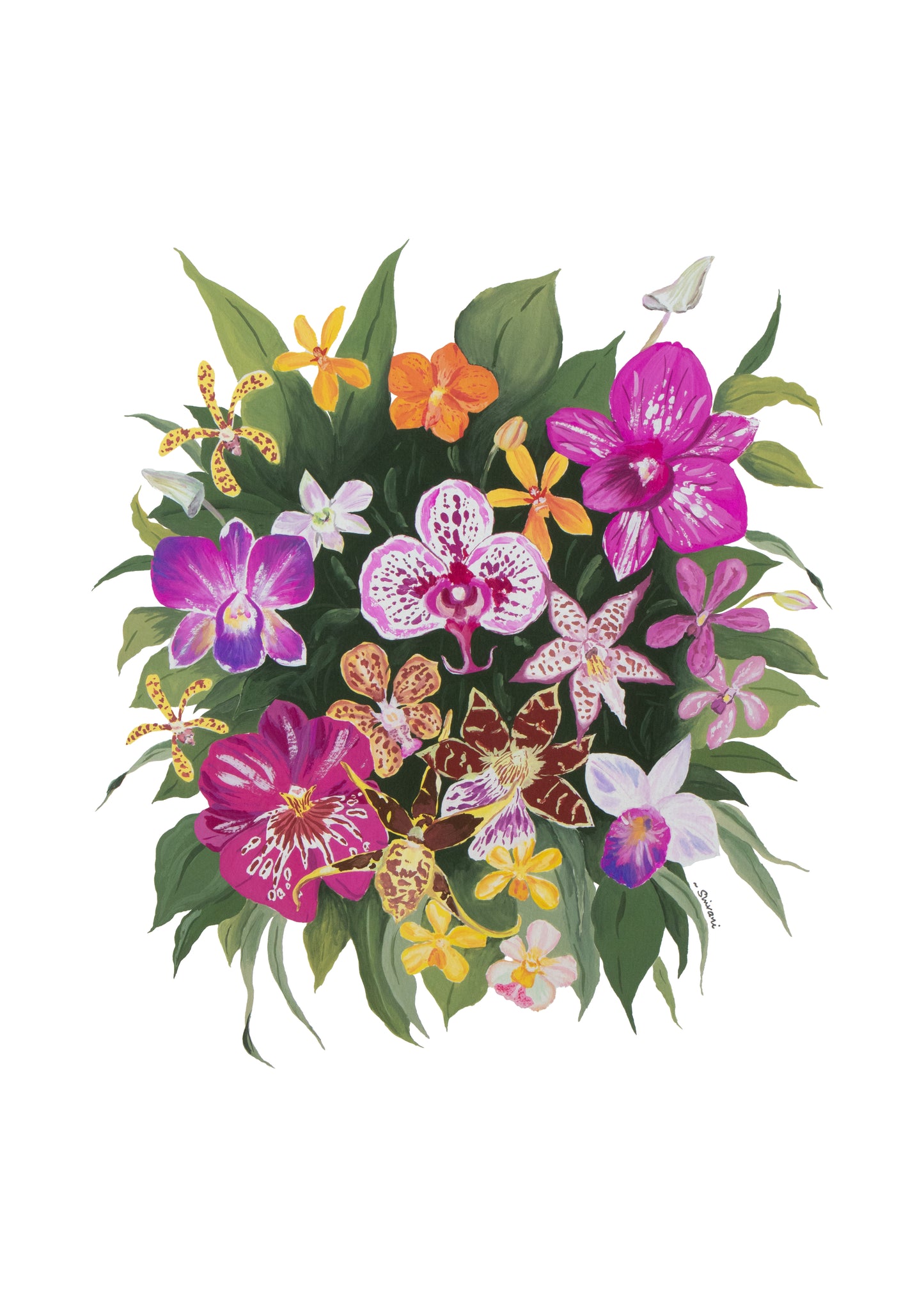 The Orchid Garden - Archival Print
