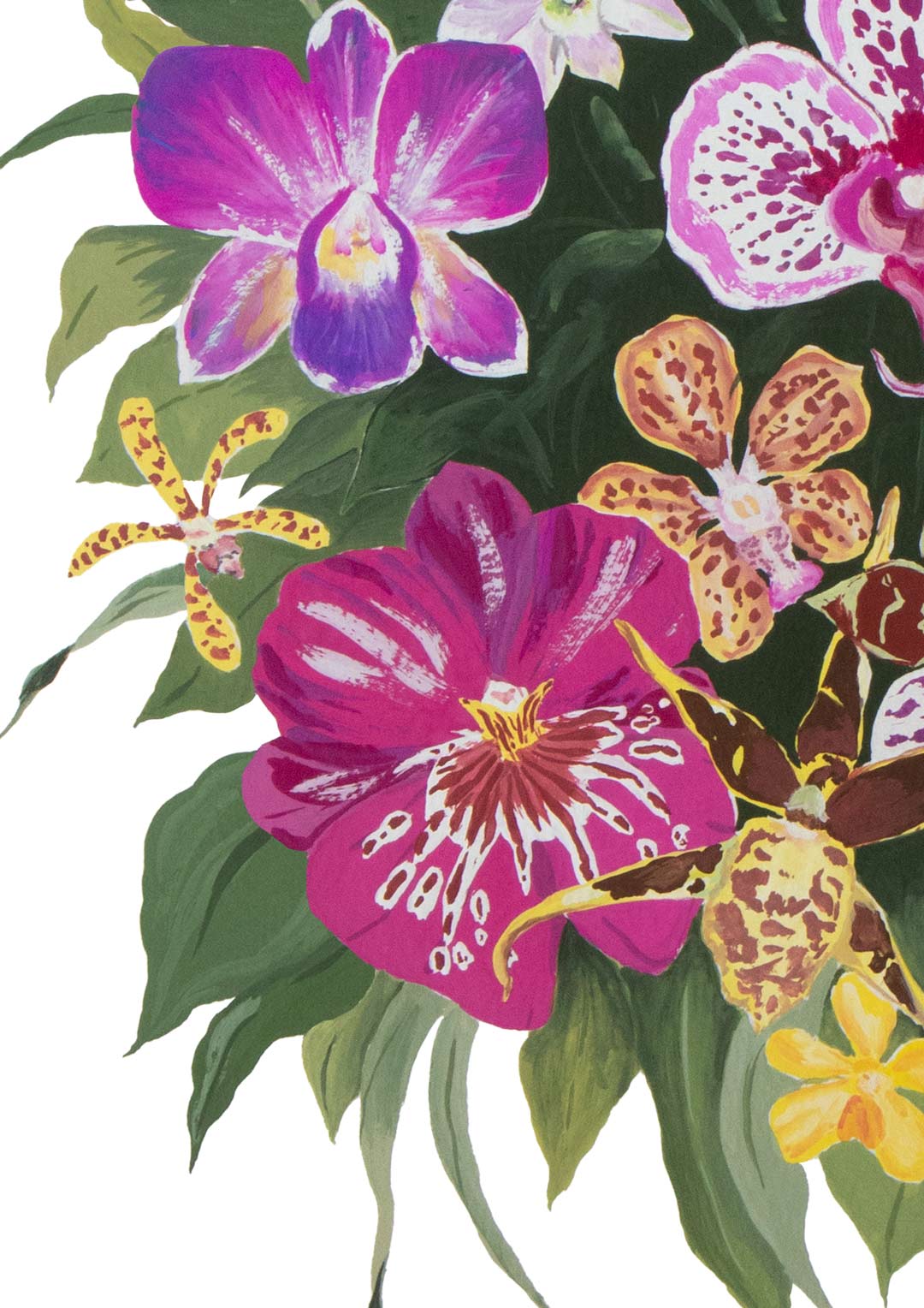 The Orchid Garden - Archival Print