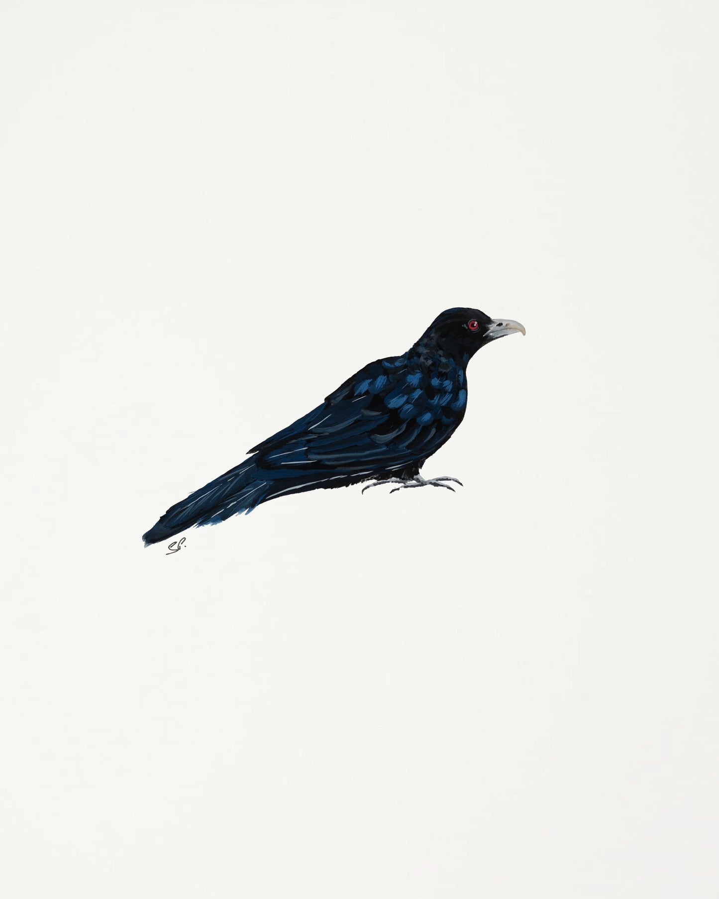 Asian Koel : Original Gouache Painting