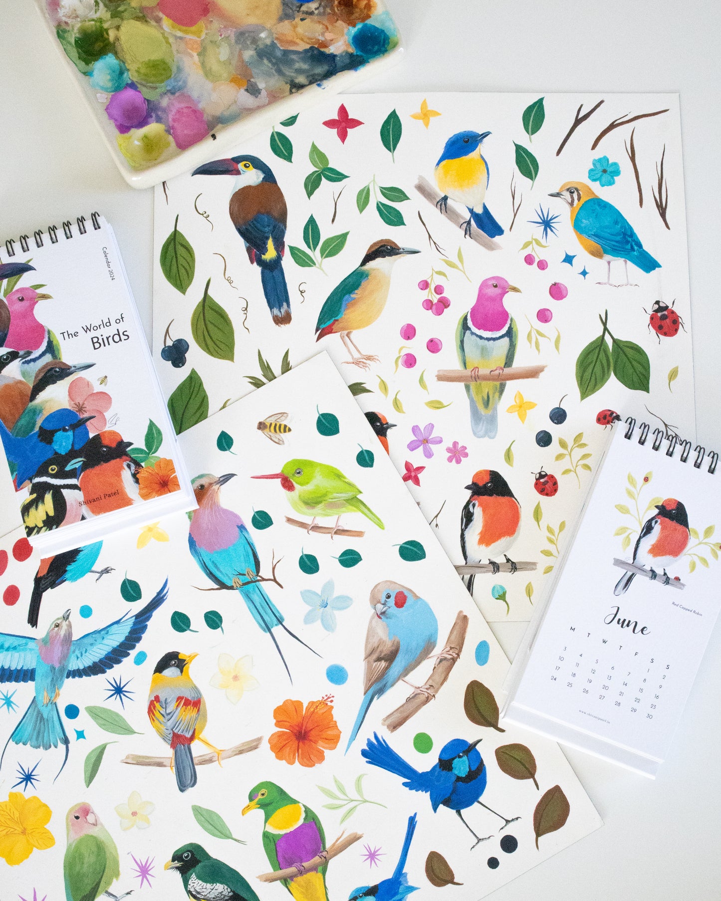 2024 Desk Calendar - The World of Birds