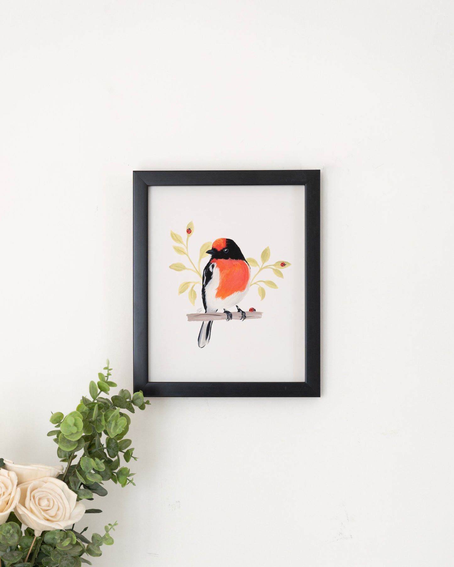 Red Capped Robin  : Archival Print