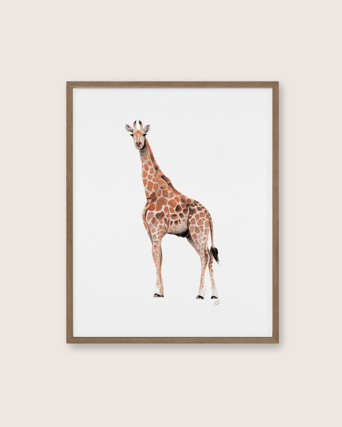 Giraffe - Archival Print