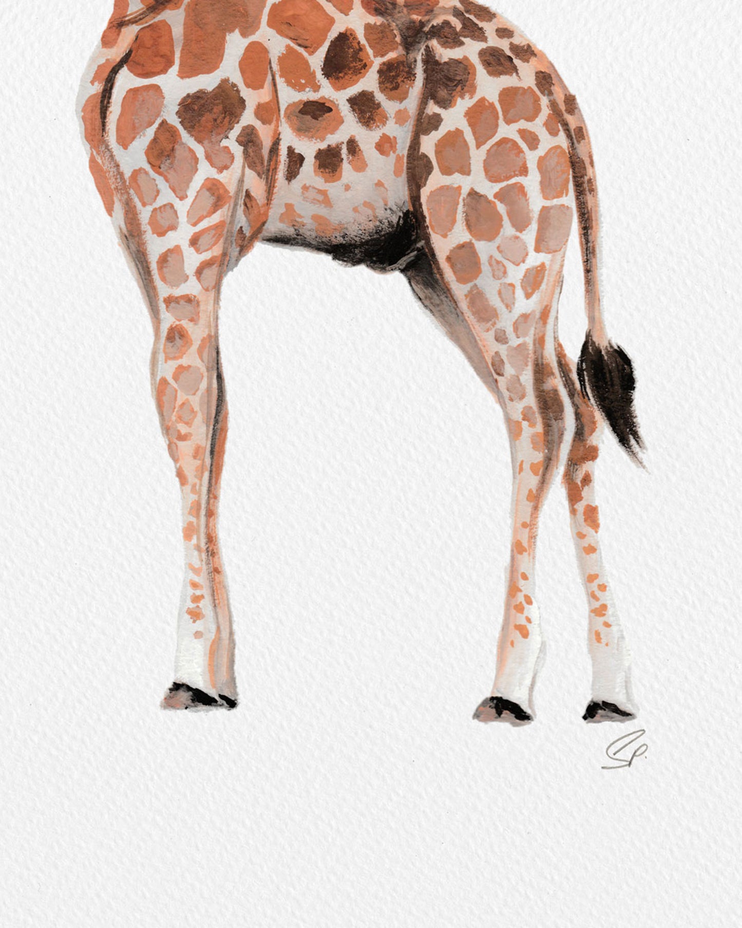 Giraffe - Archival Print