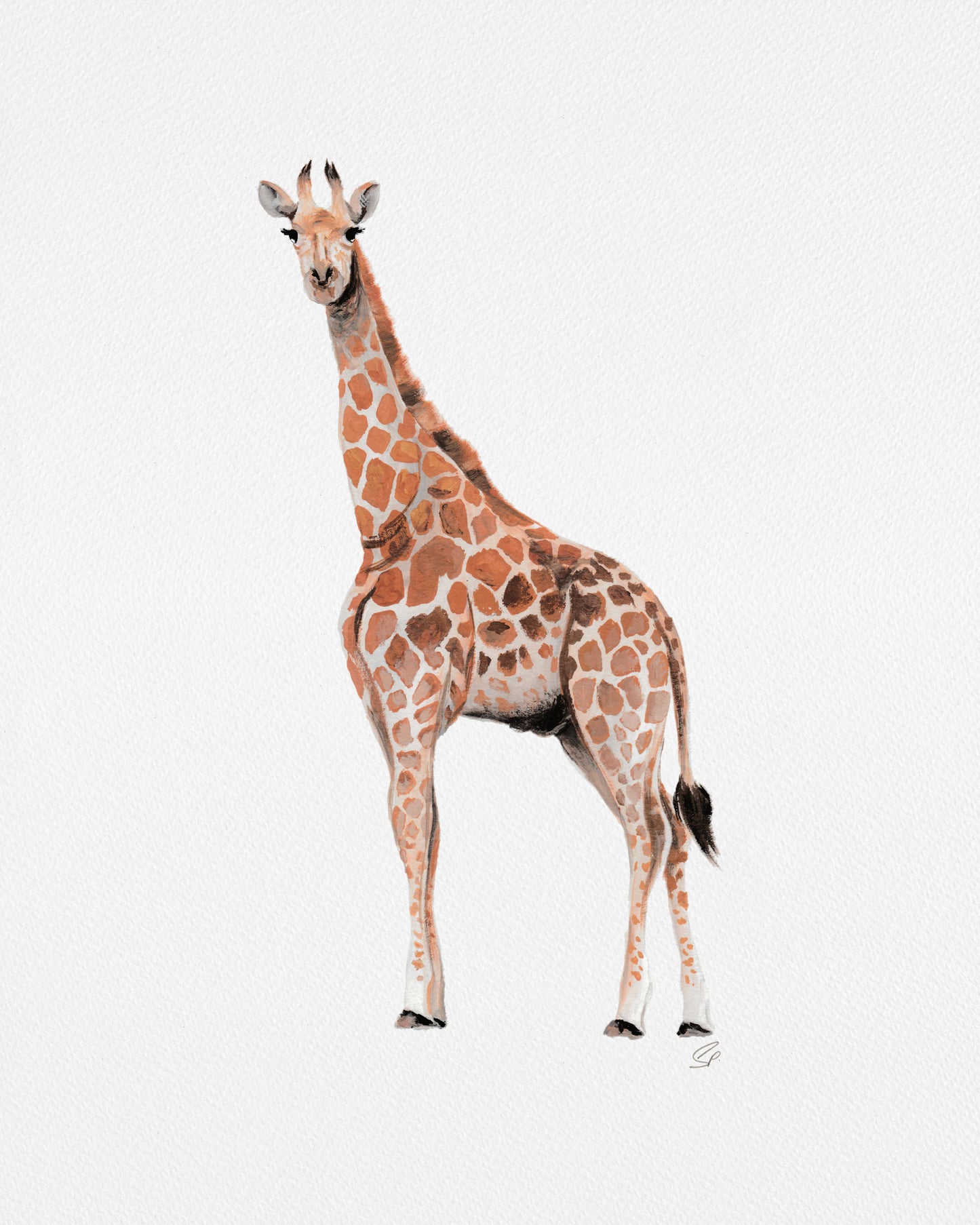 Giraffe - Archival Print