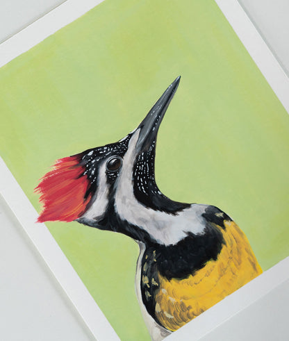 Passport Pic of a Woodpecker : Archival Print