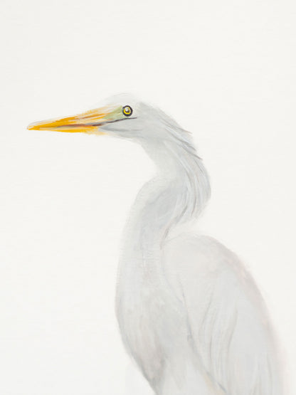 Great Egret : Original Gouache Painting