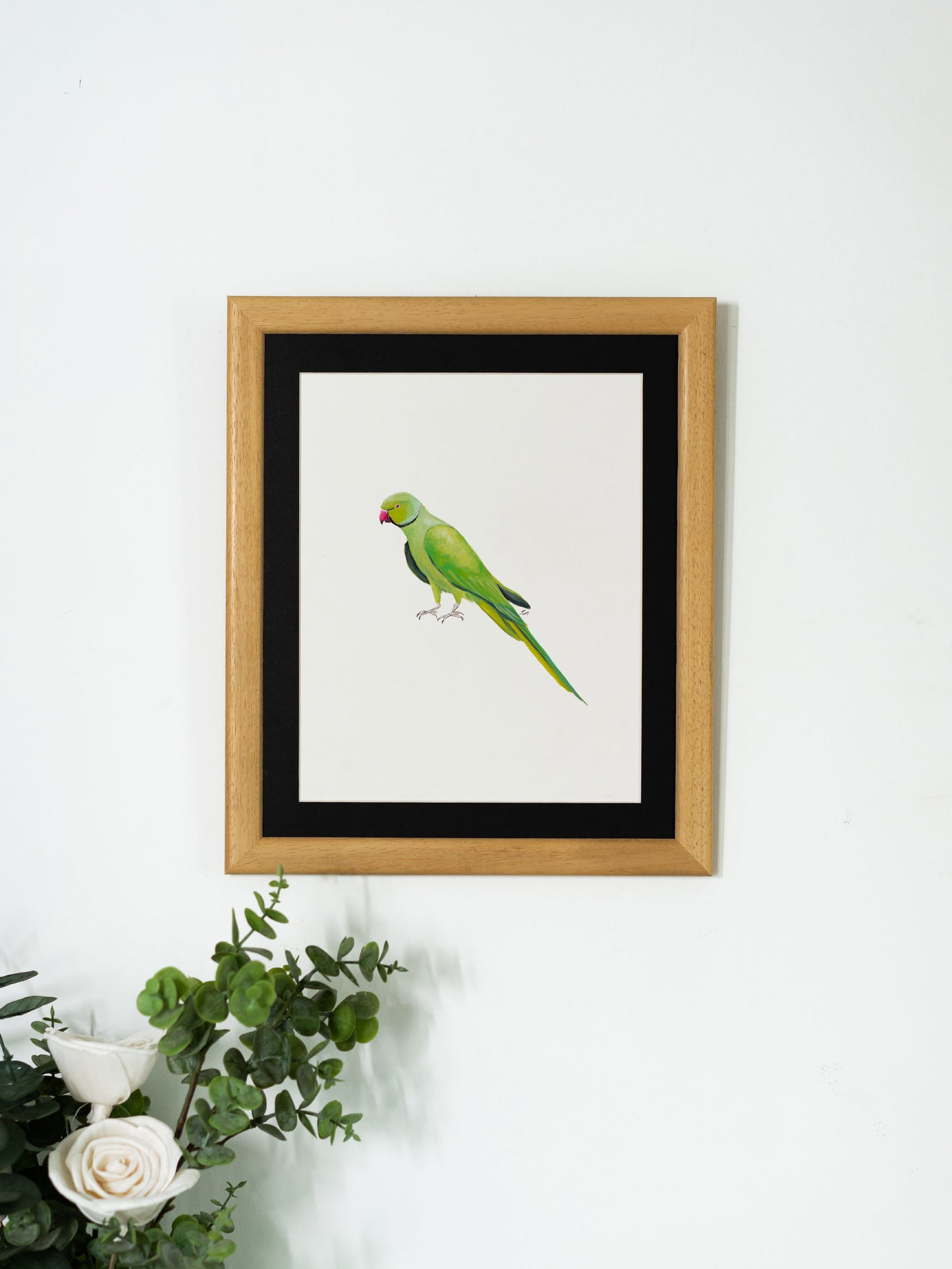 Rose Ringed Parakeet : Original Gouache Painting
