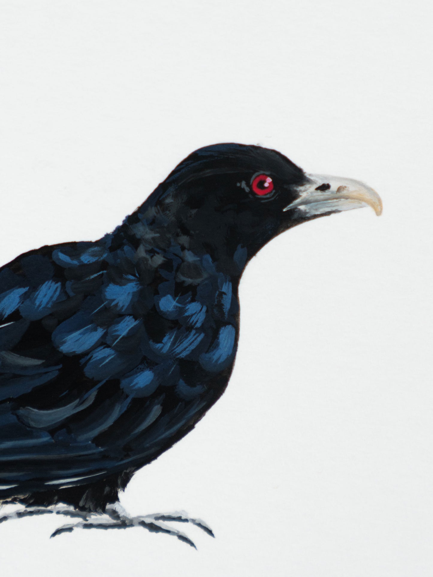 Asian Koel : Original Gouache Painting