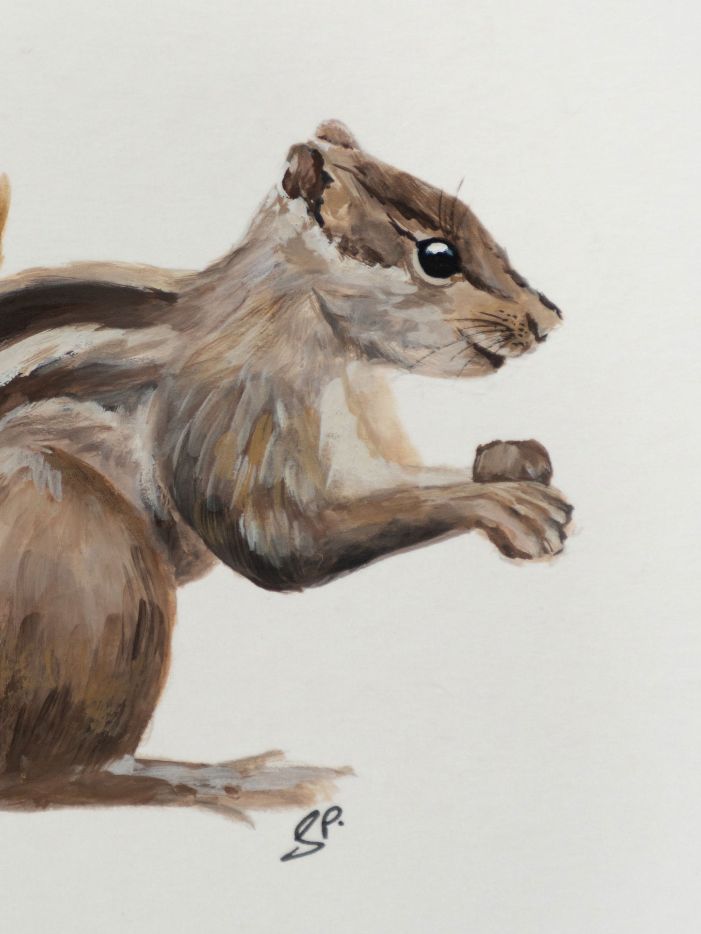 Indian Palm Squirrel : Original Gouache Painting