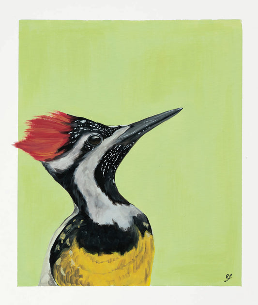 Passport Pic of a Woodpecker : Original Gouache Painting
